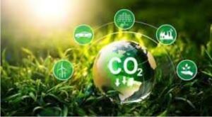 탄소 중립 탄소 중립